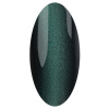 IRISK Гель-лак 3D Cat Eye, 10 гр, 04