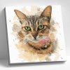Molly Картина по номерам 30х30см Домашняя кошка