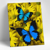 Molly Картина по номерам 15х20см Синие бабочки в цветах