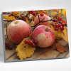 Molly Алмазная мозаика с нанесенной рамкой 40х50см Спелые яблоки