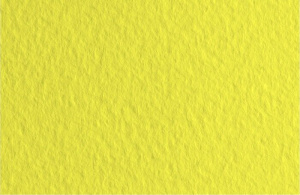 Fabriano Бумага для пастели Tiziano 160гр 21x29.7см Лимонный
