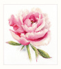 Алиса Набор для вышивания крестом 22х24см 2-47 Нежный пион