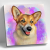 Molly Картина по номерам 20х20см Красивый корги