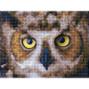 Molly Алмазная мозаика 15х20см Филин