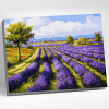 Molly Картина по номерам 40х50см Лавандовое поле