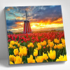 Molly Алмазная мозаика 30х30см Поля тюльпанов в Нидерландах