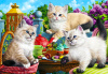 Гранни Алмазная мозаика на холсте 50х70см Чаепитие котят Ag 2484