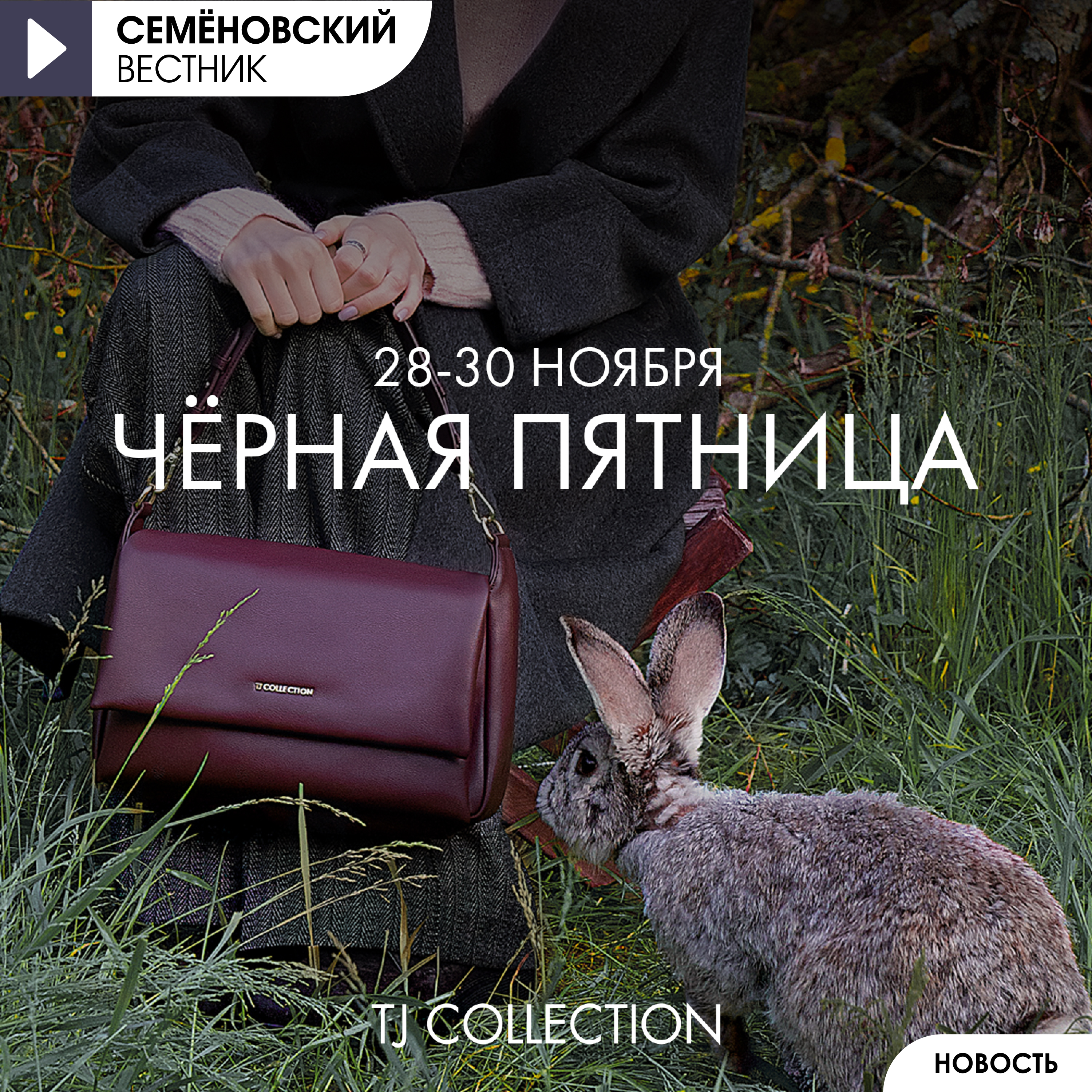 Изображение новости