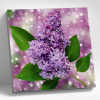 Molly Алмазная мозаика 30х30см Ветка сирени