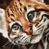 Гранни Алмазная мозаика на холсте 38х38см Котенок оцелот