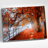 Molly Картина по номерам 40х50см Осенний парк