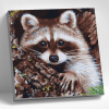 Molly Картина по номерам 30х30см Енот-полоскун