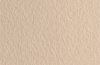 Fabriano Бумага для пастели Tiziano 160гр 21x29.7см Бледно-кремовый
