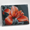 Molly Картина по номерам 30х40см Оранжевая лилия