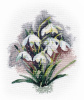 Овен Набор для вышивания крестом 17х21см 1292 Галантусы