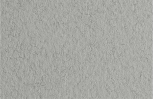 Fabriano Бумага для пастели Tiziano 160гр 70х100см Серый холодный