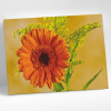 Molly Картина по номерам 15х20см Гербера