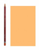 Derwent Карандаш пастельный Pastel №P050 Шафрановый