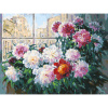 Белоснежка Картина по номерам 30х40см Свежесть утренних пионов