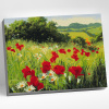 Molly Картина по номерам 40х50см Луговые цветы