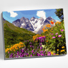 Molly Картина по номерам цветной холст 40х50см Альпийские луга Дагестана