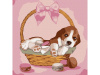 Molly Картина по номерам 20х30см Щенок в корзинке