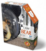Madd Capp Пазл 300 деталей Медведь