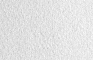 Fabriano Бумага для пастели Tiziano 160гр 50х65см Белый