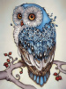 Гранни Алмазная мозаика на холсте 30х40см Сова