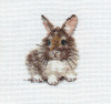 Алиса Набор для вышивания крестом 9х7см 0-170 Крольчонок