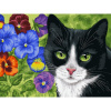 Белоснежка Картина по номерам 30х40см Кот в анютиных глазках