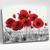 Molly Картина по номерам 40х50см Красные маки на сером фоне