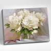 Molly Картина по номерам 40х50см Бузин Нежные пионы