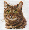 Алиса Набор для вышивания крестом 11х12см 0-135 Европейский кот