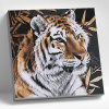 Molly Картина по номерам 30х30см Тигр