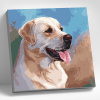 Molly Картина по номерам 30х30см Лабрадор Ретривер