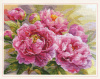 Алиса Набор для вышивания крестом 40х30см 2-35 Пионы