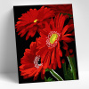 Molly Картина по номерам 15х20см Красные герберы