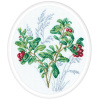 RTO Набор для вышивания крестом 20х24см Брусника