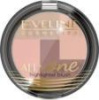 EVELINE All In One Палитра румян многоцветная, N 01, 6,5 г