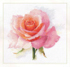 Алиса Набор для вышивания крестом 24х24см 2-40 Дыхание розы Нежность