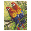 Белоснежка Алмазная мозаика на подрамнике 20х25см Попугаи