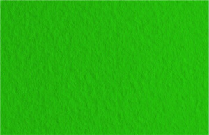 Fabriano Бумага для пастели Tiziano 160гр 21x29.7см Зеленый темный
