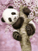 Гранни Алмазная мозаика на холсте 30х40см Ласковая панда