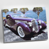 Molly Картина по номерам 30х40см Ретро автомобиль