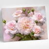 Molly Алмазная мозаика 40х50см Бузин Розы освещенные солнцем