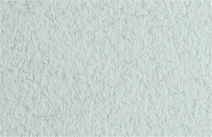 Fabriano Бумага для пастели Tiziano 160гр 21x29.7см Белый с ворсом