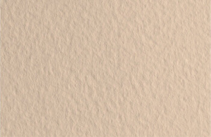 Fabriano Бумага для пастели Tiziano 160гр 50х65см Бледно-кремовый