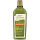 Dalan D'Olive Shampoo Шампунь для волос Восстановление и питание, 250 мл