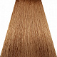 Concept Soft touch Крем-краска для волос, 8.31 Light Golden Ash Blond, 100 мл